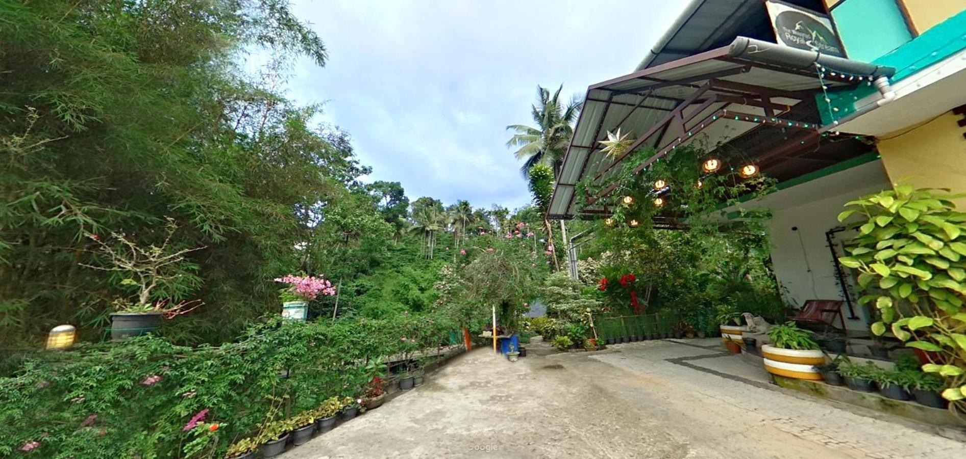 Wayanad Royal Stream Bed and Breakfast Kalpetta Εξωτερικό φωτογραφία