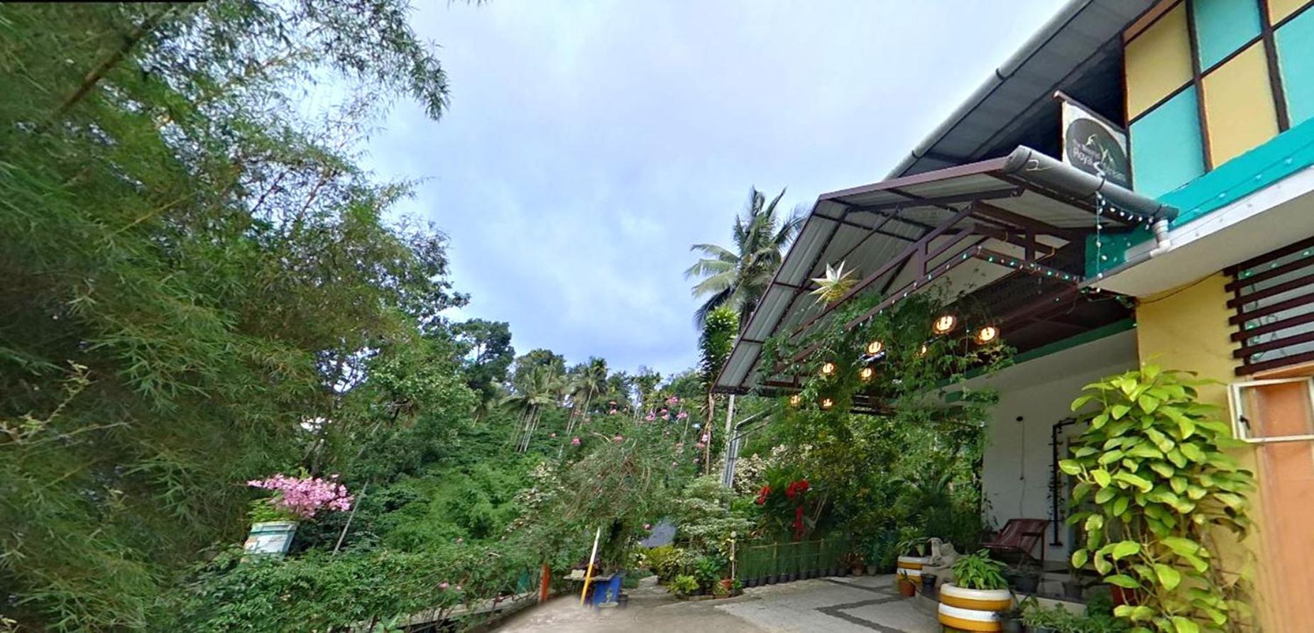 Wayanad Royal Stream Bed and Breakfast Kalpetta Εξωτερικό φωτογραφία