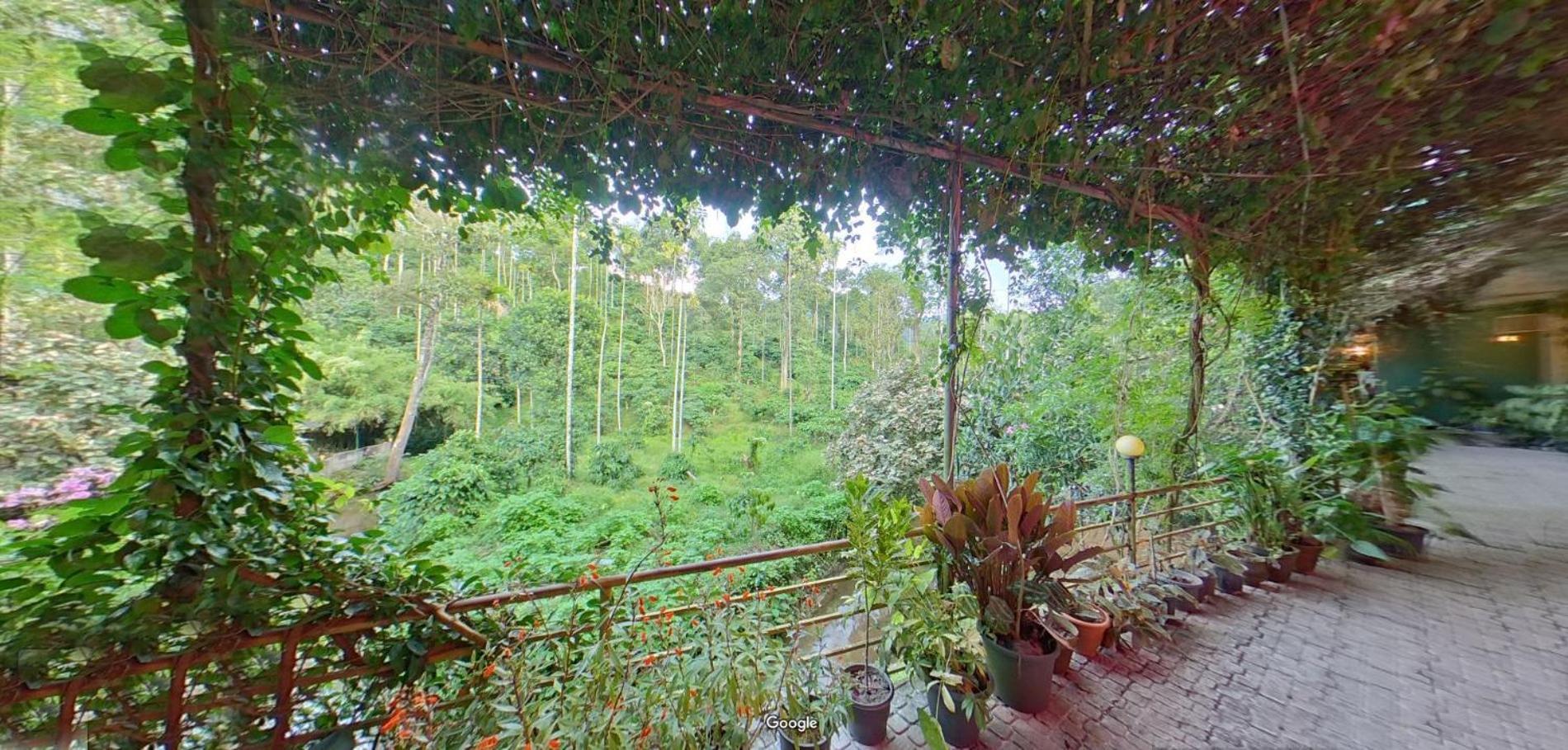 Wayanad Royal Stream Bed and Breakfast Kalpetta Εξωτερικό φωτογραφία