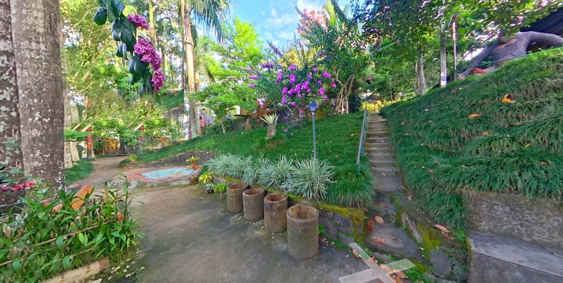 Wayanad Royal Stream Bed and Breakfast Kalpetta Εξωτερικό φωτογραφία