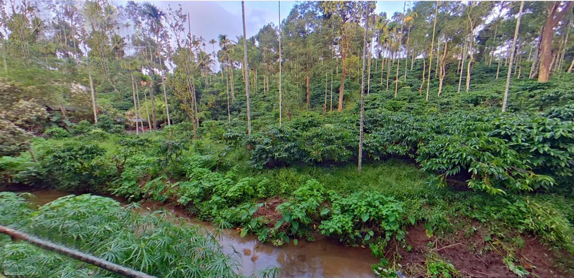 Wayanad Royal Stream Bed and Breakfast Kalpetta Εξωτερικό φωτογραφία