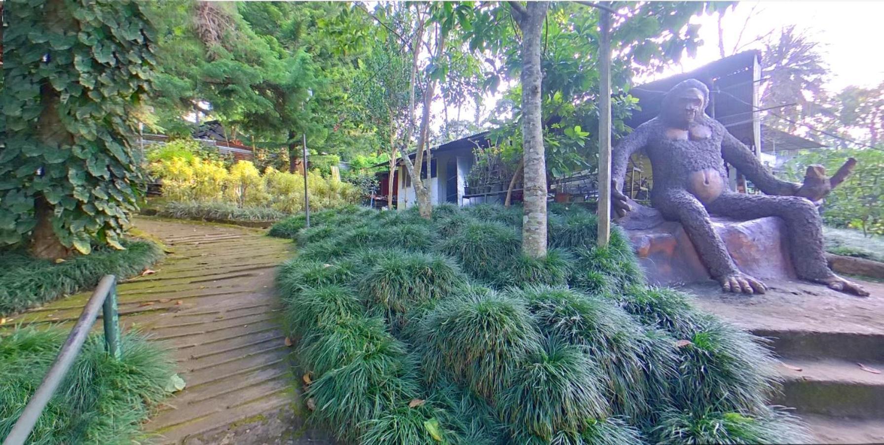 Wayanad Royal Stream Bed and Breakfast Kalpetta Εξωτερικό φωτογραφία