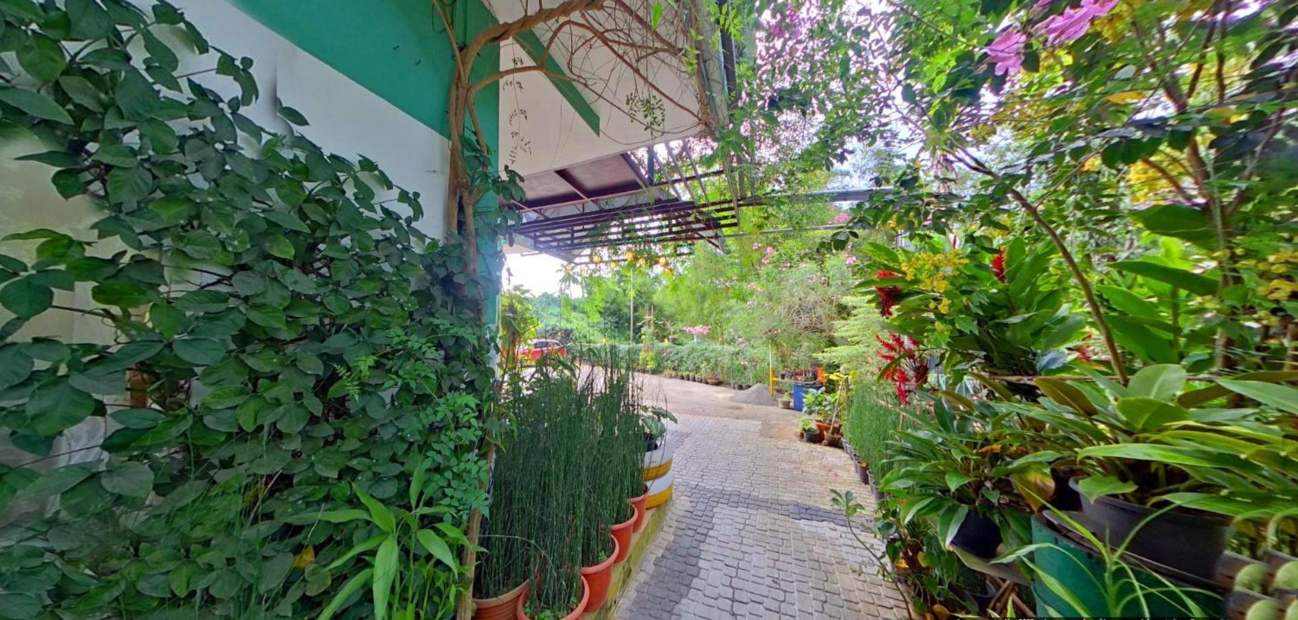 Wayanad Royal Stream Bed and Breakfast Kalpetta Εξωτερικό φωτογραφία