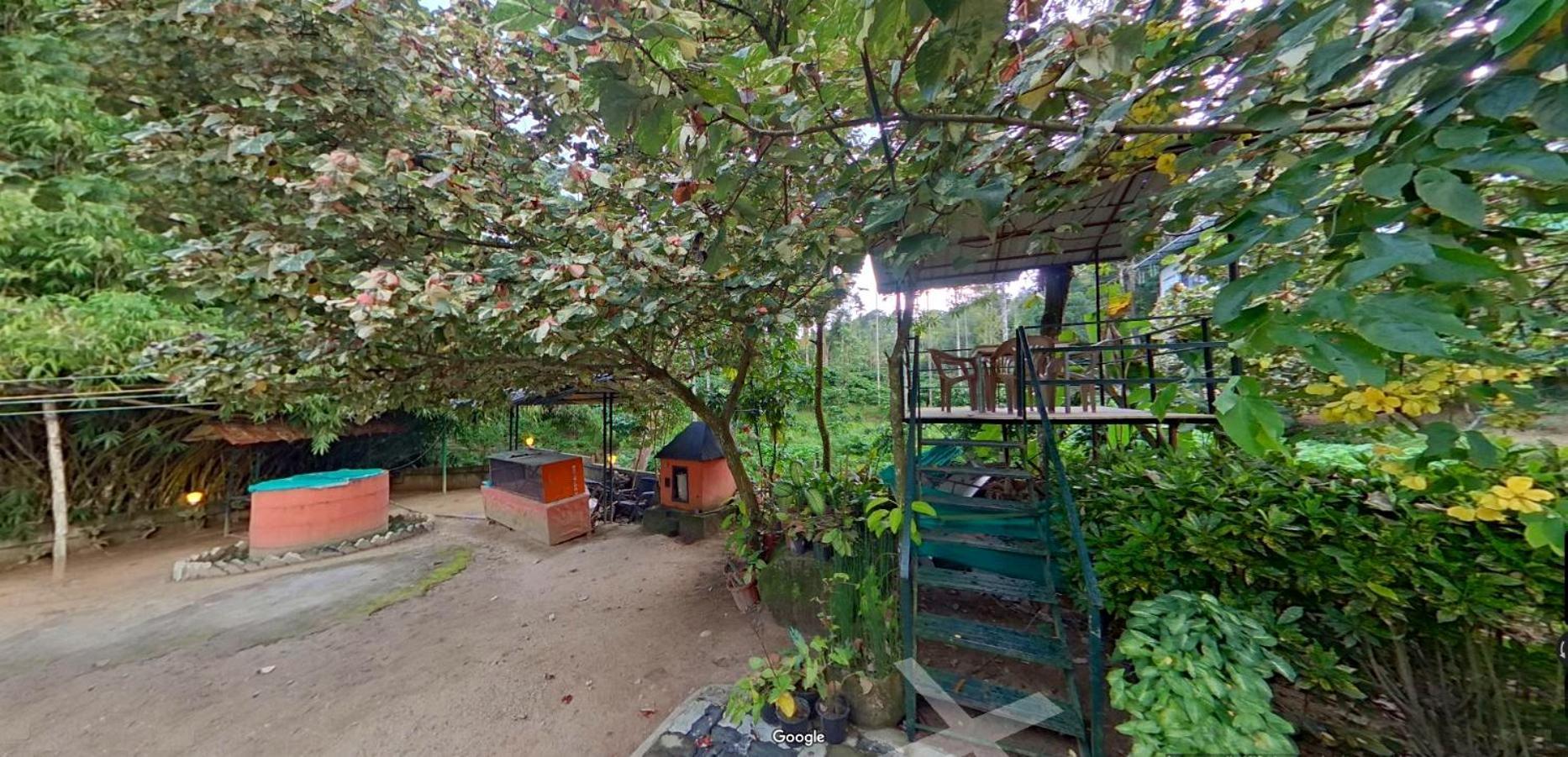 Wayanad Royal Stream Bed and Breakfast Kalpetta Εξωτερικό φωτογραφία