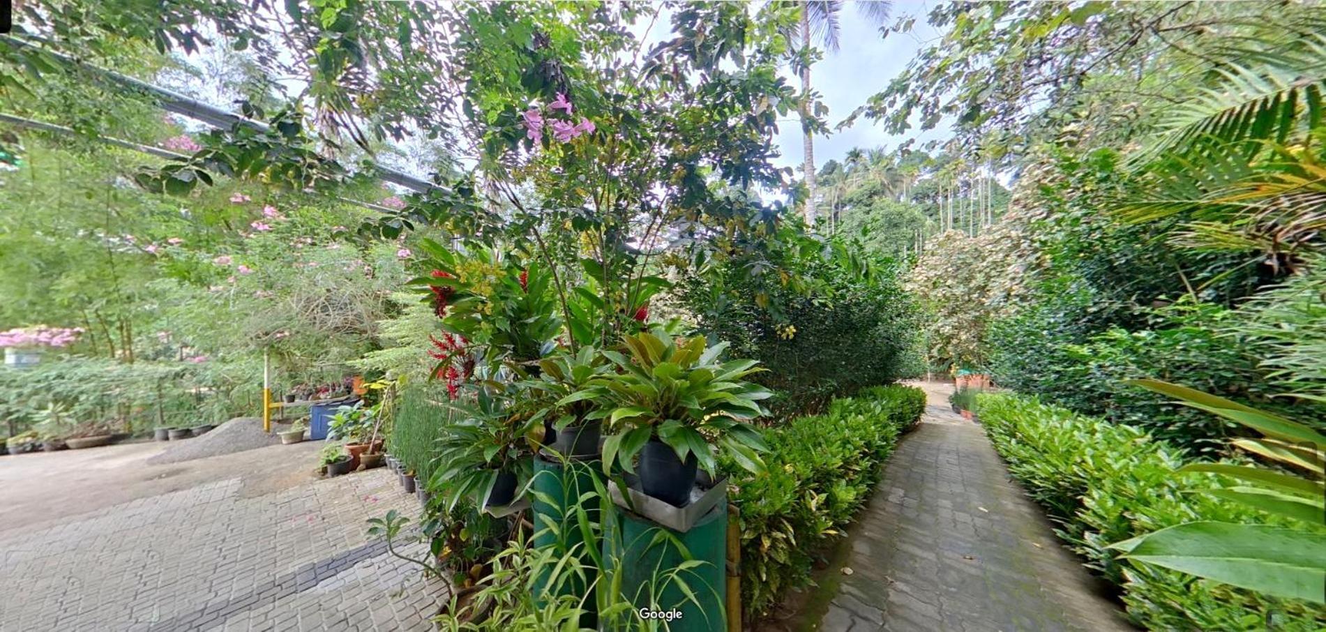 Wayanad Royal Stream Bed and Breakfast Kalpetta Εξωτερικό φωτογραφία