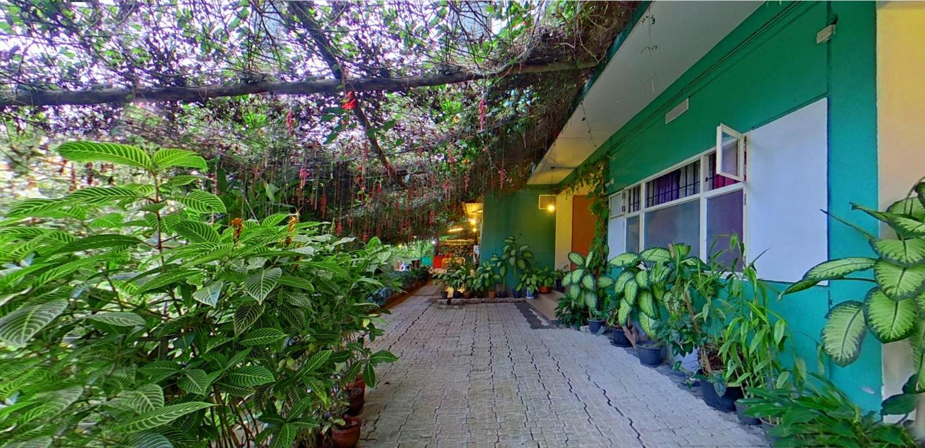 Wayanad Royal Stream Bed and Breakfast Kalpetta Εξωτερικό φωτογραφία
