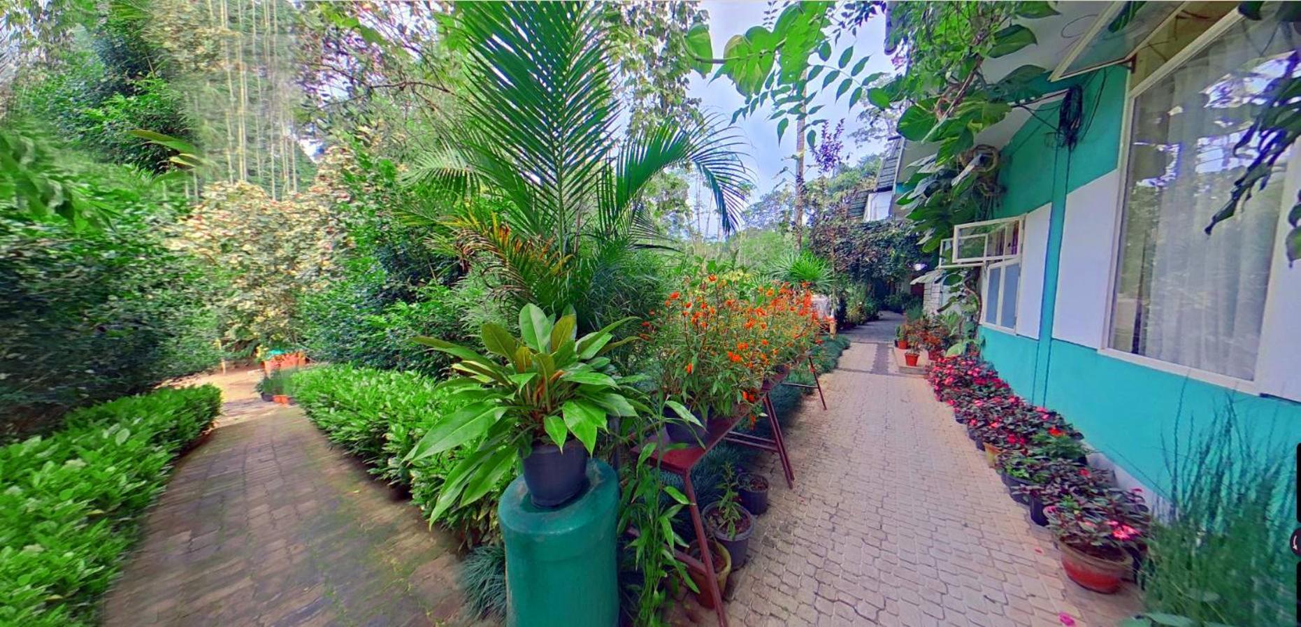 Wayanad Royal Stream Bed and Breakfast Kalpetta Εξωτερικό φωτογραφία