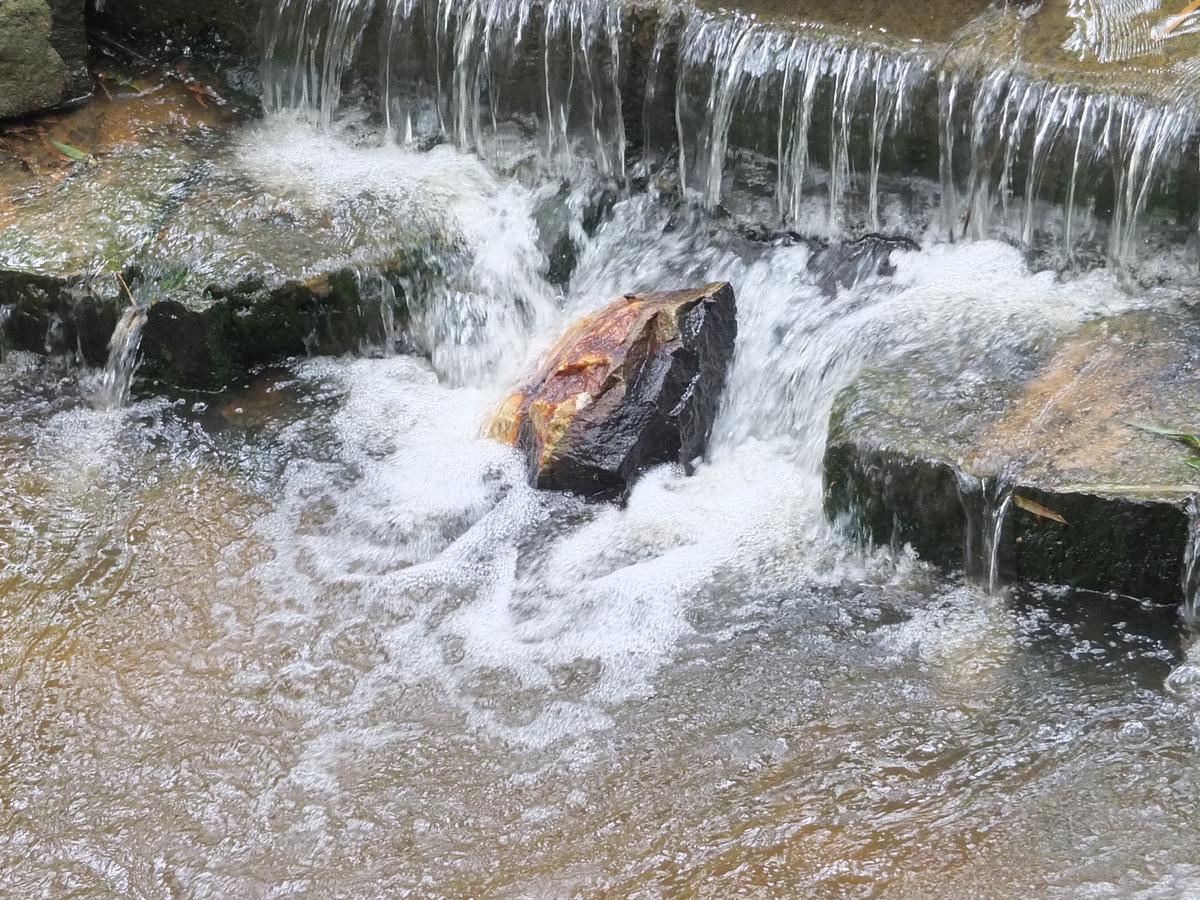 Wayanad Royal Stream Bed and Breakfast Kalpetta Εξωτερικό φωτογραφία