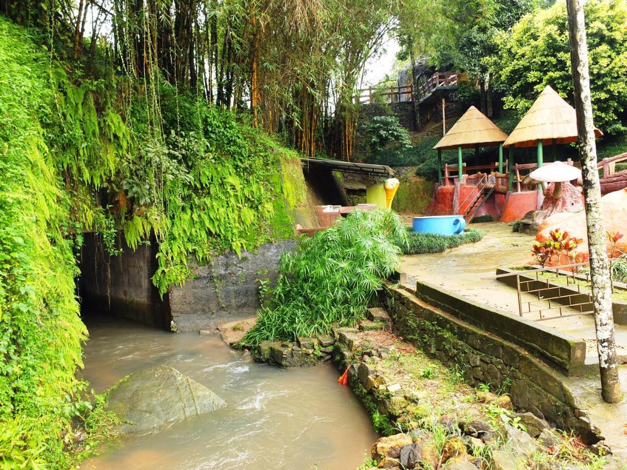 Wayanad Royal Stream Bed and Breakfast Kalpetta Εξωτερικό φωτογραφία